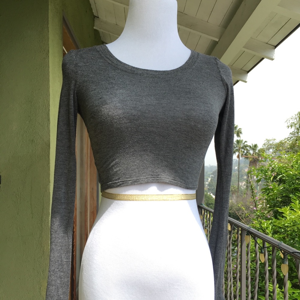 SALE✨Gray Cropped Long Sleeve CCO